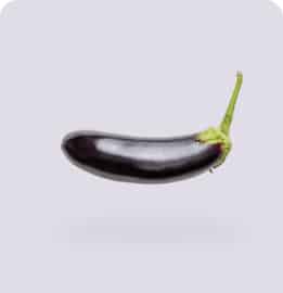 Seasonal Brinjal