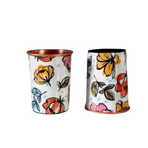copper glass set of 2